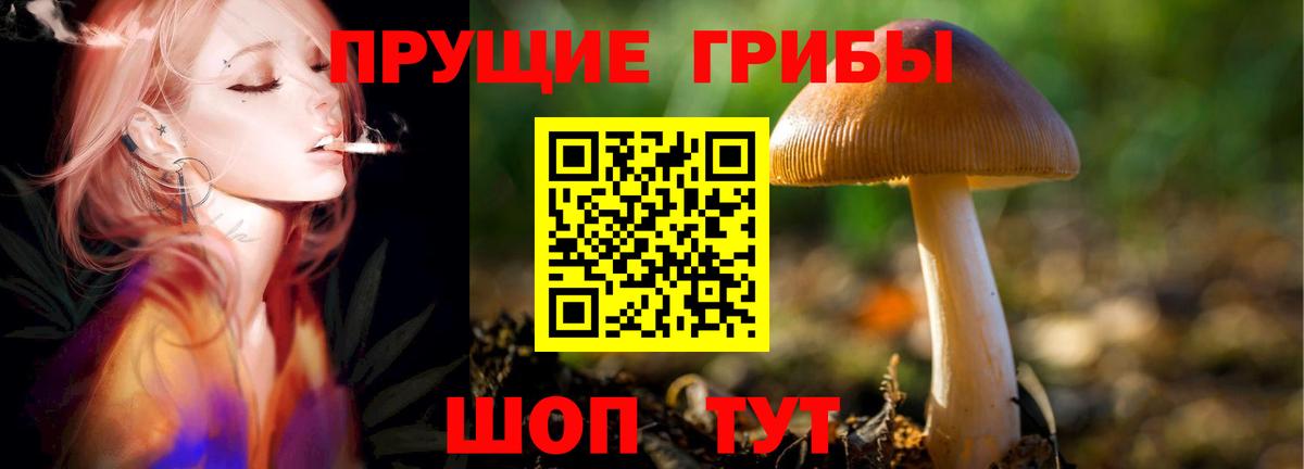 Псилоцибиновые грибы MAGIC MUSHROOMS Курчатов